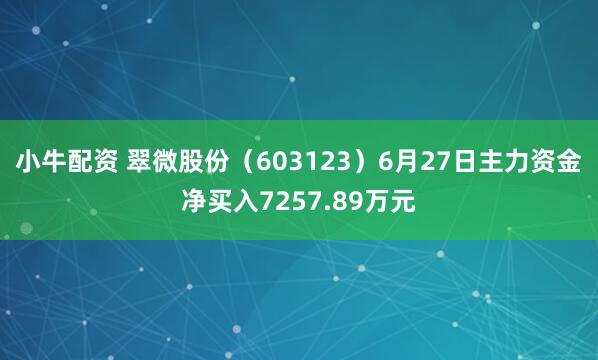 小牛配资 翠微股份（603123）6月27日主力资金净买入7257.89万元