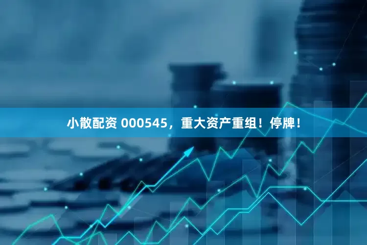 小散配资 000545，重大资产重组！停牌！