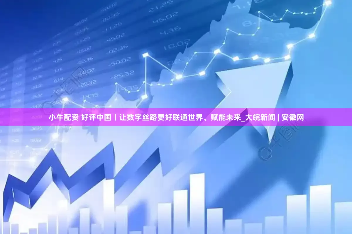 小牛配资 好评中国丨让数字丝路更好联通世界、赋能未来_大皖新闻 | 安徽网