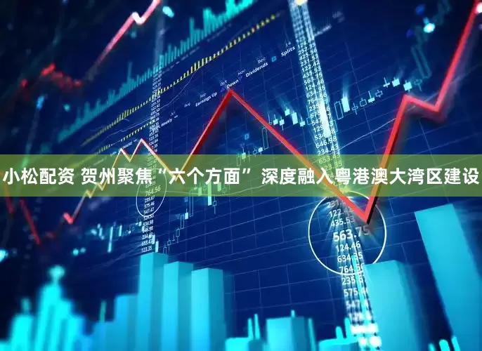 小松配资 贺州聚焦“六个方面” 深度融入粤港澳大湾区建设