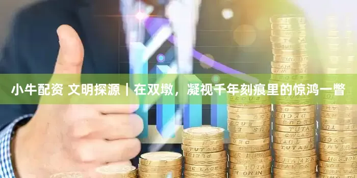 小牛配资 文明探源｜在双墩，凝视千年刻痕里的惊鸿一瞥
